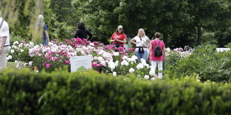 01.06.2024. Kielce. Ogród Botaniczny / Fot. Jarosław Kubalski - Radio Kielce