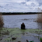 Archeolodzy z UW odkryli rytualne stanowisko Celtów na Kujawach