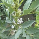 Fot. Marzena Smoręda - Radio Kielce