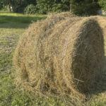 Sianokosy u zakonników - Radio Kielce Wąchock. Sianokosy w gospodarstwie ojców Cystersów / Fot. Anna Głąb - Radio Kielce