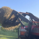 Sianokosy u zakonników - Radio Kielce Wąchock. Sianokosy w gospodarstwie ojców Cystersów / Fot. Anna Głąb - Radio Kielce