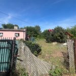 12.07.2024. Ćmielów. Stan po wczorajszej nawałnicy / Fot. Patryk Wójcik - Radio Kielce