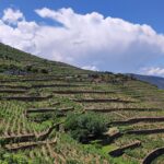 Muzyczne podróże. Portugalia / Fot. Danuta Rasała