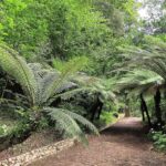 Muzyczne podróże. Portugalia / Fot. Danuta Rasała