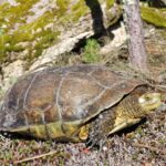 Muzyczne podróże. Portugalia / Fot. Danuta Rasała