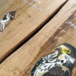 Maleniec. Ściezka edukacyjna / Fot. Magdalena Galas-Klusek - Radio Kielce