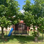Gospodarstwo agroturystyczne Willa Wojtasówka w Obrazowie / Fot. Grażyna Szlęzak - Radio Kielce