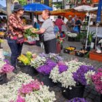 Muzyczne podróże. Portugalia / Fot. Danuta Rasała