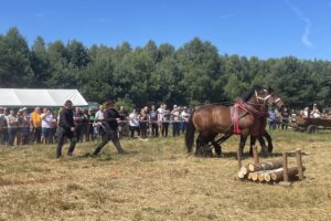 06.07.2024. Lipowe Pole. I Zawody Furmanów / Fot. Anna Głąb - Radio Kielce