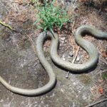 Muzyczne podróże. Portugalia / Fot. Danuta Rasała