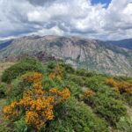 Muzyczne podróże. Portugalia / Fot. Danuta Rasała