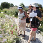 10.07.2024. Kielce. Wakacyjna Akademia Przyrody w Ogrodzie Botanicznym / Fot. Wiktor Taszłow - Radio Kielce