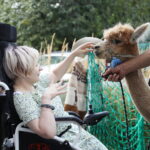 Podopieczni kieleckiego hospicjum mogli poznać tradycje i kuchnię mieszkańców Ameryki Południowej