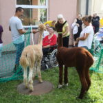 18.07.2024. Kielce. Spotkanie pod nazwą „Podróż po jeden uśmiech”. / Fot. Wiktor Taszłow - Radio Kielce