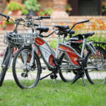 19.07.2024. Kielce. Integracyjny piknik dla osób słabowidzących i niewidomych / Fot. Wiktor Taszłow - Radio Kielce