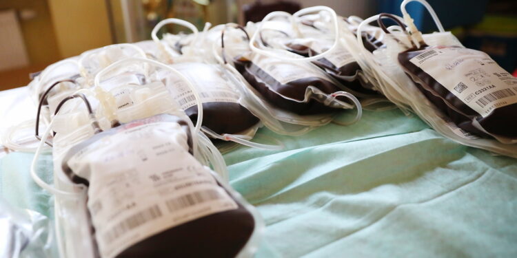 26.07.2024. Kielce. Żołnierze z Centrum Przygotowań do Misji Zagranicznych oddają krew / Fot. Wiktor Taszłow - Radio Kielce