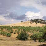 Muzyczne podróże. Portugalia / Fot. Danuta Rasała