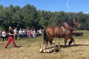 06.07.2024. Lipowe Pole. I Zawody Furmanów / Fot. Anna Głąb - Radio Kielce