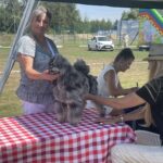27.07.2024. Połaniec. Europejska Wystawa Psów Rasowych / Fot. Grażyna Szlęzak - Radio Kielce