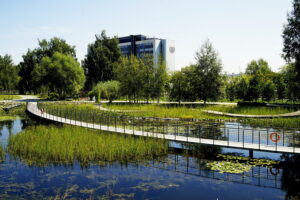 Kielce. Ogród botaniczny - Radio Kielce