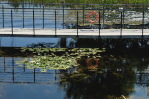 Kielce. Ogród botaniczny - Radio Kielce