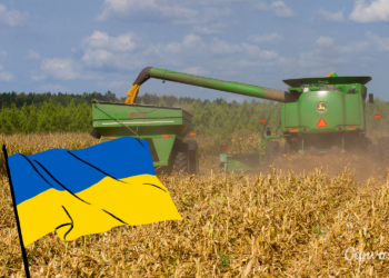 Dłuższy pobyt pomocnika rolnika – obywatela Ukrainy/ Fot. Canva