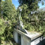 14.07.2024. Kielce. Cmentarz Stary. / Fot. Jarosław Kubalski - Radio Kielce