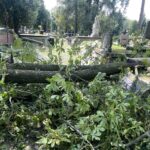 14.07.2024. Kielce. Cmentarz Stary. / Fot. Jarosław Kubalski - Radio Kielce