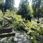 Połamane drzewa, zasypane alejki i uszkodzone nagrobki na kieleckich cmentarzach