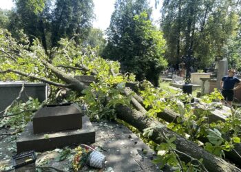 Połamane drzewa, zasypane alejki i uszkodzone nagrobki na kieleckich cmentarzach