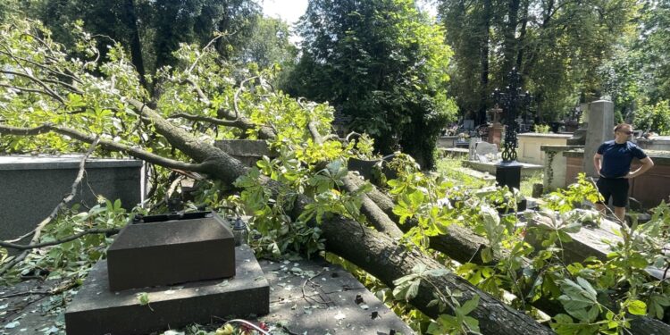 Połamane drzewa, zasypane alejki i uszkodzone nagrobki na kieleckich cmentarzach