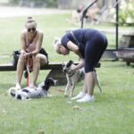 27.07.2024. Oblęgorek. Plenerowa impreza dla miłośników zwierząt z okazji 160. lecia istnienia Towarzystwa Opieki nad Zwierzętami trwa w Oblęgorku / Fot. Jarosław Kubalski - Radio Kielce