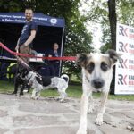 27.07.2024. Oblęgorek. Plenerowa impreza dla miłośników zwierząt z okazji 160. lecia istnienia Towarzystwa Opieki nad Zwierzętami trwa w Oblęgorku / Fot. Jarosław Kubalski - Radio Kielce