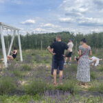 21.07.2024. Zawichost. Piknik na lawendowym polu. / Fot. Grażyna Szlęzak - Radio Kielce