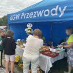 28.07.2024. Sandomierz. Powiatowe Święto Miodu / Fot. Grażyna Szlęzak – Radio Kielce