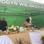 28.07.2024. Sandomierz. Powiatowe Święto Miodu / Fot. Grażyna Szlęzak – Radio Kielce