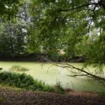 Stawy w zabytkowym podworskim parku w Ruszczy przejdą rewitalizację - Radio Kielce Stawy przy zabytkowym dworku w Ruszczy / źródło: Urzędu Miasta i Gminy Połaniec