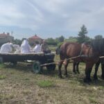 W Sandomierzu przypomniano staropolskie żniwa - Radio Kielce 27.07.2024. Nadbrzezie. Staropolskie żniwa / Fot. Grażyna Szlęzak - Radio Kielce