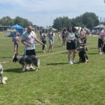 27.07.2024. Połaniec. Europejska Wystawa Psów Rasowych / Fot. Grażyna Szlęzak - Radio Kielce