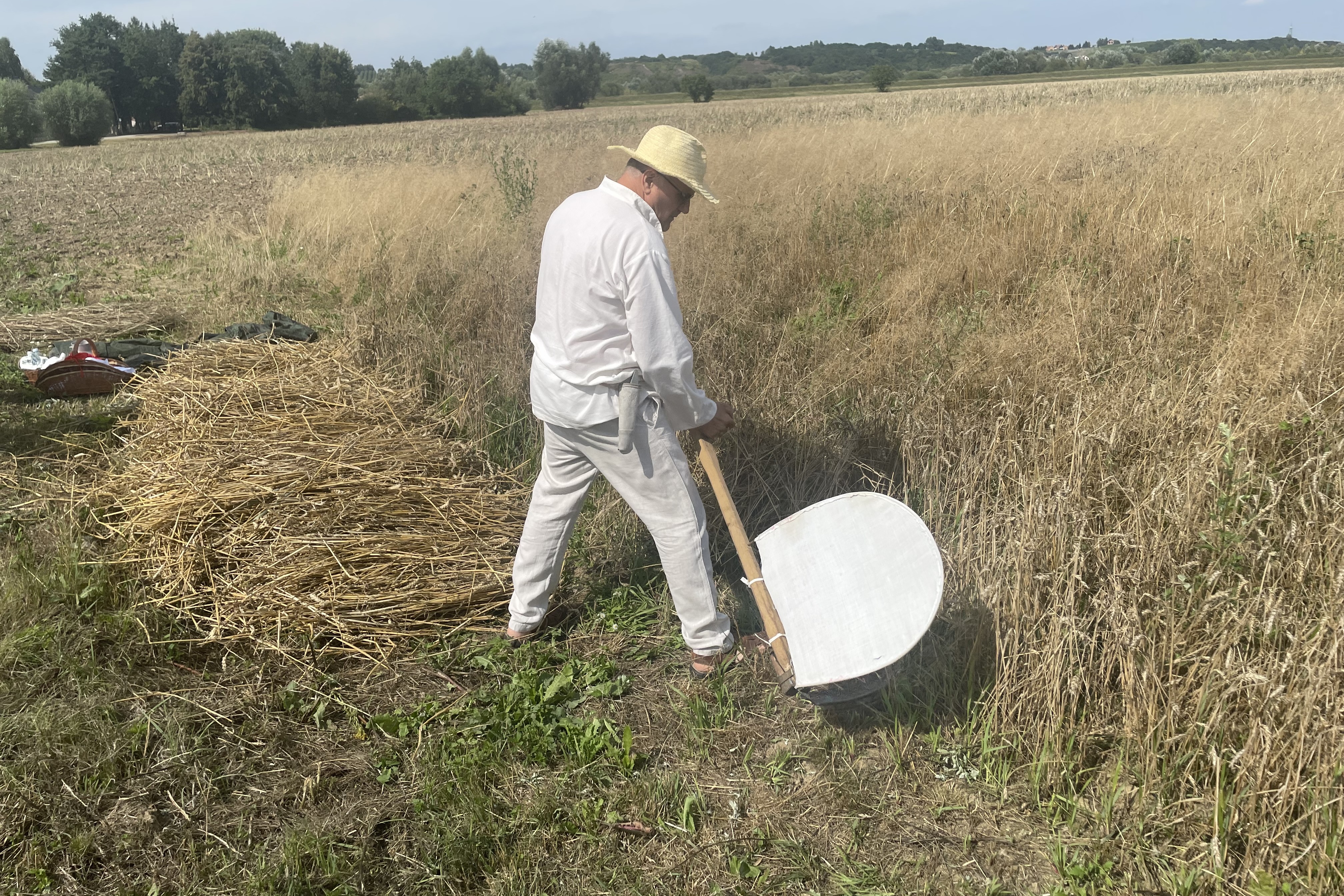 Jak wyglądały staropolskie żniwa?