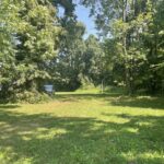 Park w Błoniu / Fot. Grażyna Szlęzak - Radio Kielce