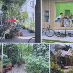 Końskie. Wizualizacja "zielonego kwartału:. / Źródło: UM Końskie