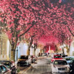 Końskie. Wizualizacja "zielonego kwartału:. / Źródło: UM Końskie