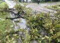Wzmożone wyjazdy strażaków. Powodem szkody po nawałnicy