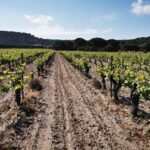 Hiszpania / Fot. Majka Szura