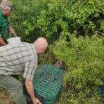 Fot. Koło Łowieckie Hubertus Kielce