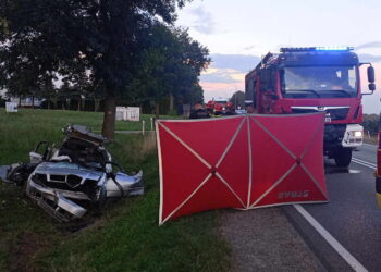 Śmierć w Gołoszycach. Auto uderzyło w drzewo