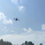 Fot. Nadleśnictwo Daleszyce