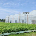 Fot. Nadleśnictwo Daleszyce