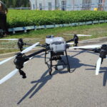 Fot. Nadleśnictwo Daleszyce